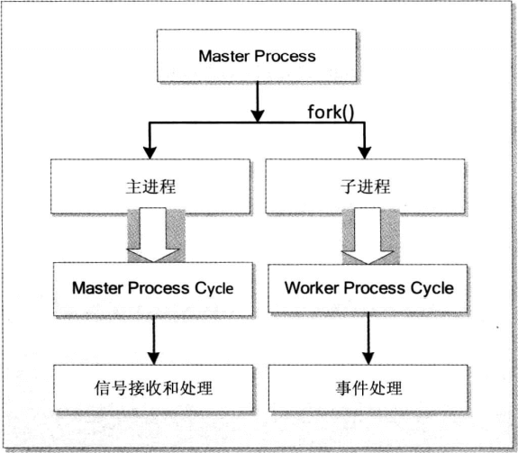 Master 模型下多进程的启动过程